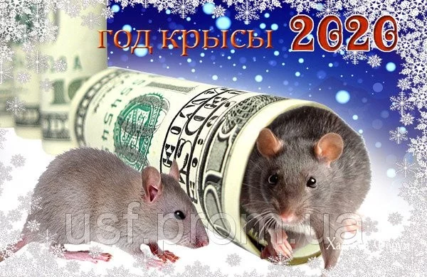 c6dbe41f91e52cbfb.webp