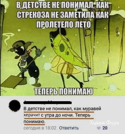 c6dd64518a4f7aa297.webp