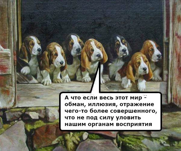 c6hdhe.webp