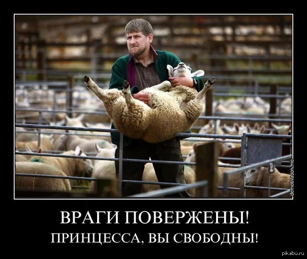 c6hhba.webp
