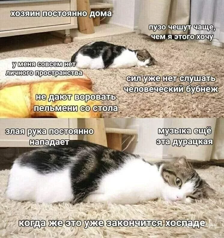 c705dd273875398cd6c.webp