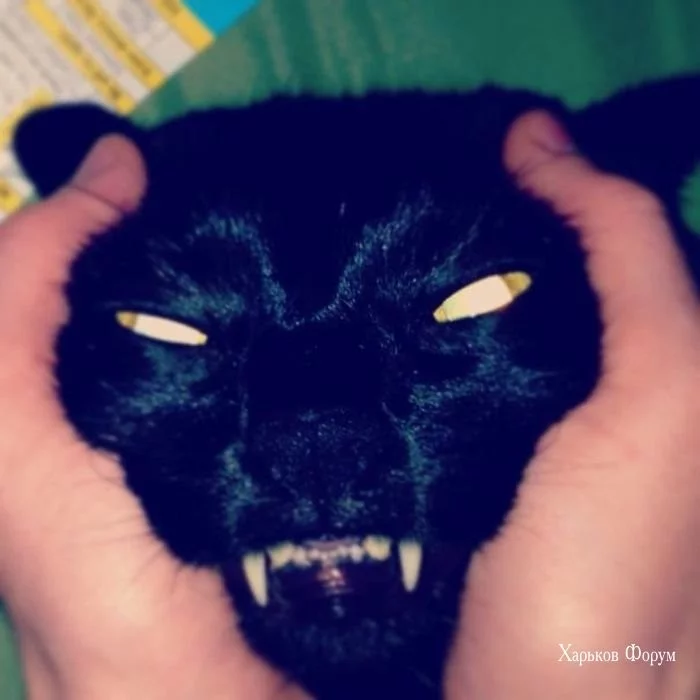 c70c3d52c734865a990ef6.webp