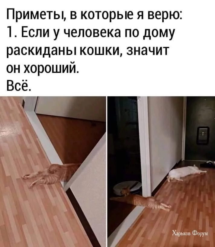 c71608c62858fac174bc3ba0.webp