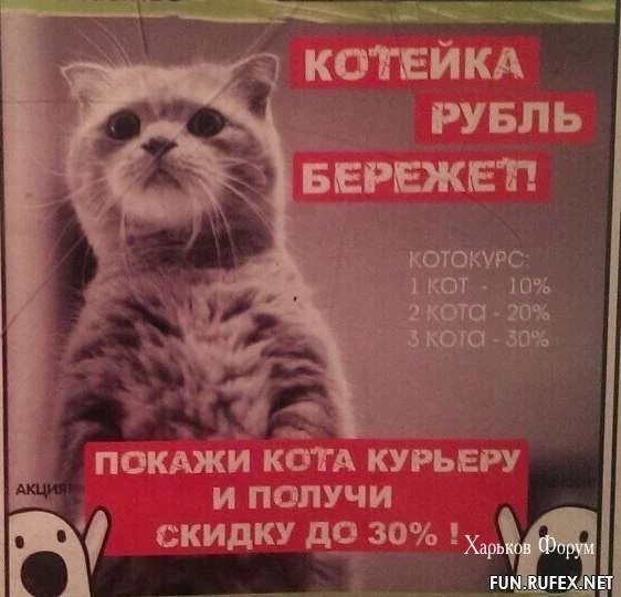 c71f197548118dd6f30f9c6e.webp