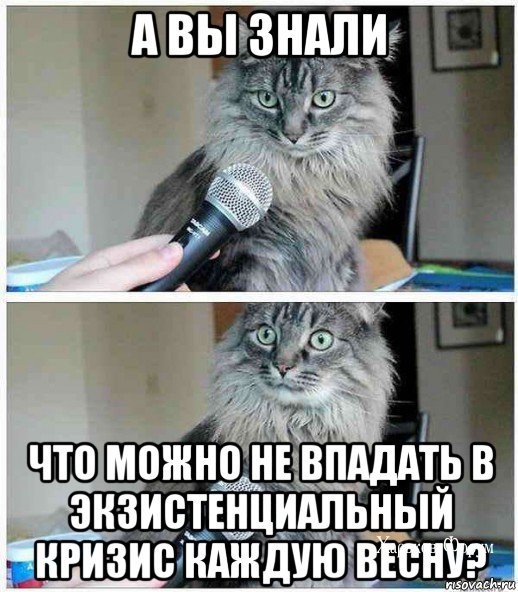 c72bd5004661c75e1.jpg