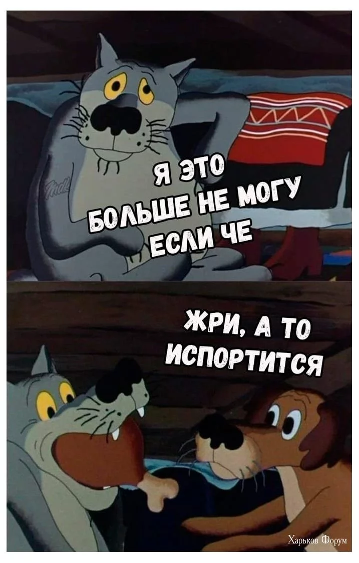 c739fd9b15aace9979c5.webp