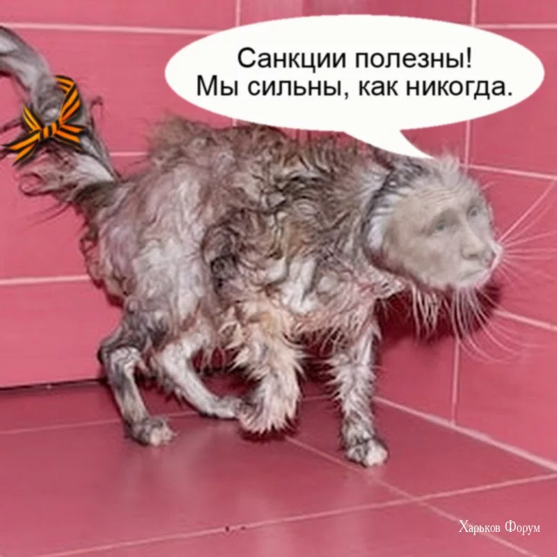 c73bdd3c66e1704c767.webp