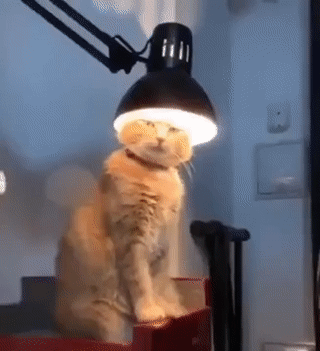 c745f2d3df87bf5025264fcd.gif