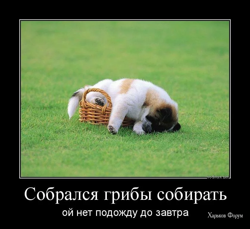c74823e1780f727868213874.webp