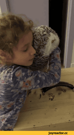 c758af0a3e4392eafaee6de.gif