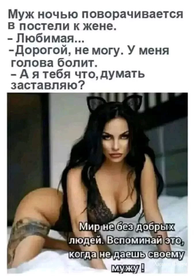 c76436517640e834.webp