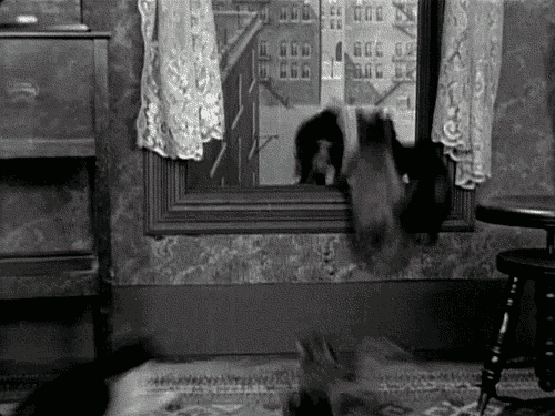 c76b570c341e508860.gif
