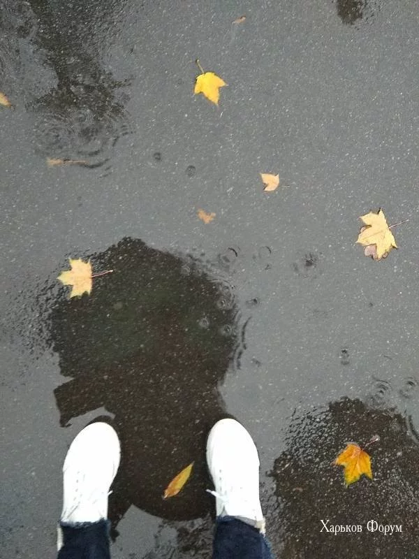 c77de305198e03e4c1b702.webp