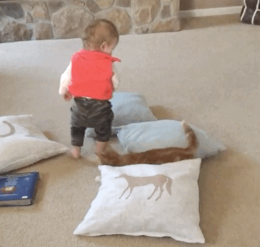 c785a1038db53f732.gif