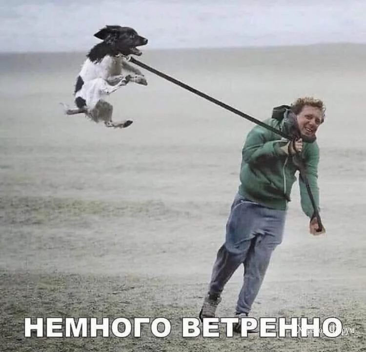 c795539314f230b0ad80aa07.webp
