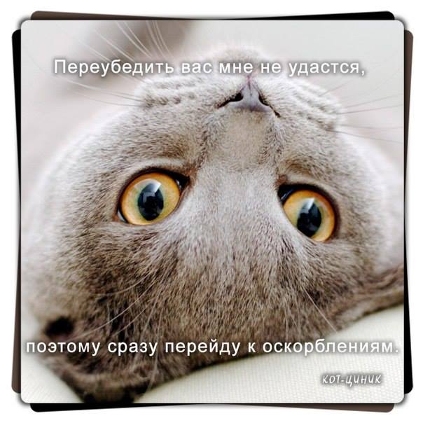 c7b05c02de8a7d52965d0323f5c3d500.jpg