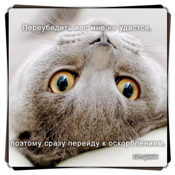 c7b05c02de8a7d52965d0323f5c3d500.webp