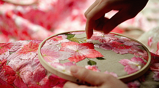 c7c0b024f1a8ac67bf296a99c009c9172a874956.gif