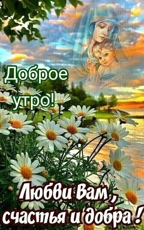 c7c2284888a7d500.webp