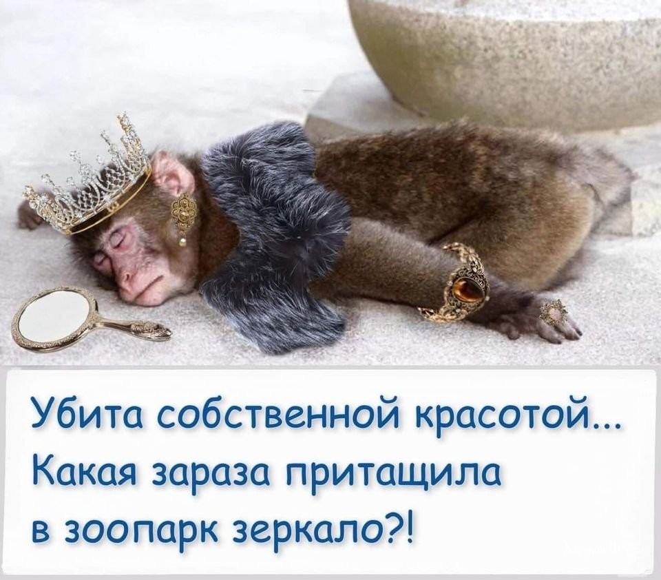 c7c6869894457c46f9193.jpg