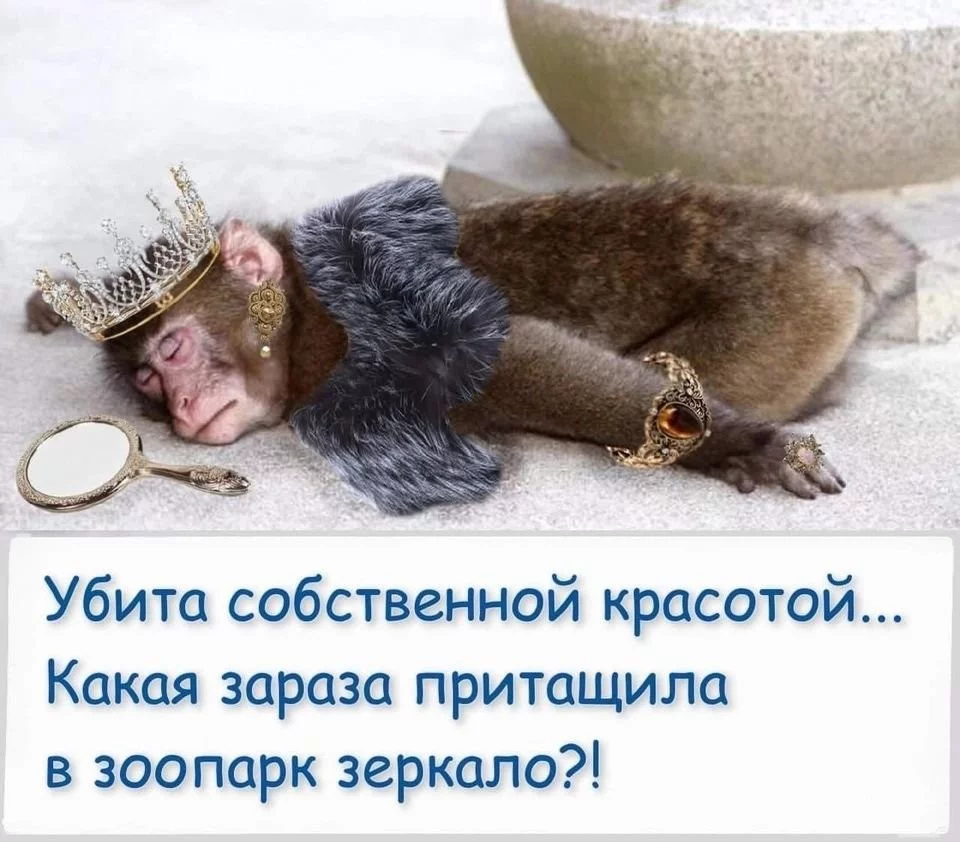 c7c6869894457c46f9193.webp