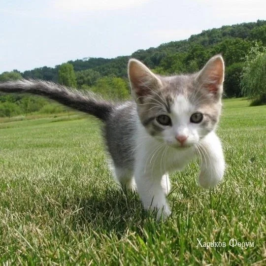 c7f054276e37b4758cbc.webp