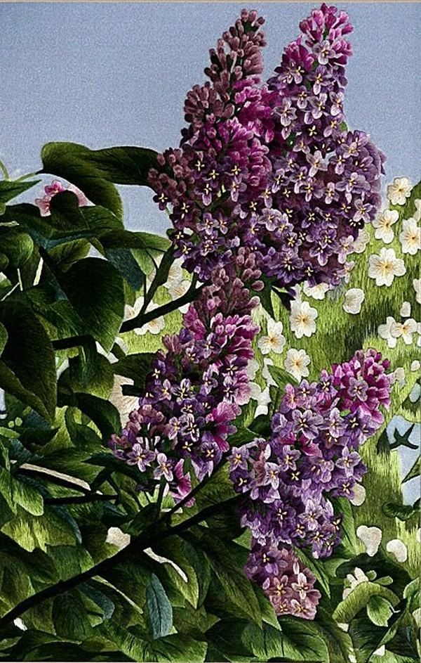 c7f24fd6b01e.webp