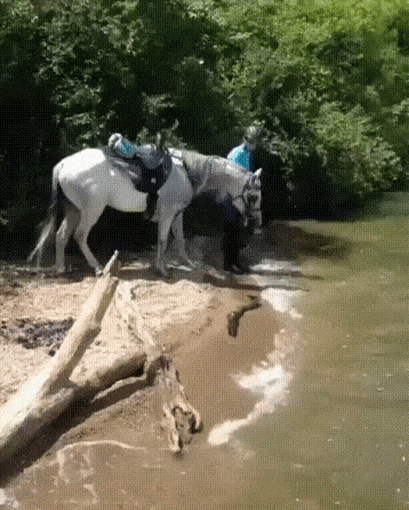 c7fcff.gif
