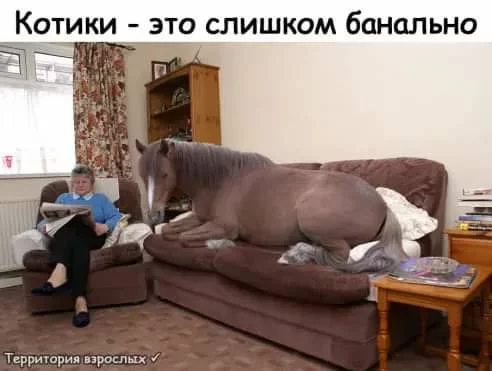 c7jjaf.webp