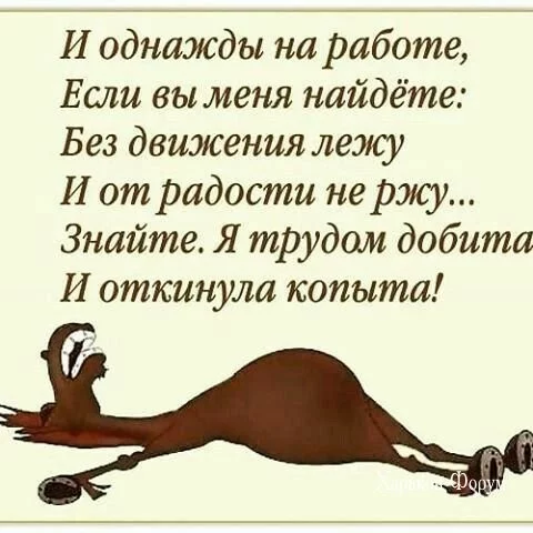 c826244c23ed82676f994b.webp