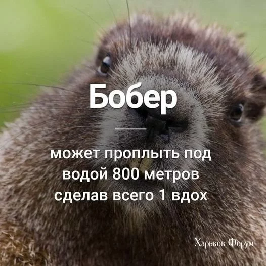 c82f891be9e51d1616f3c.webp