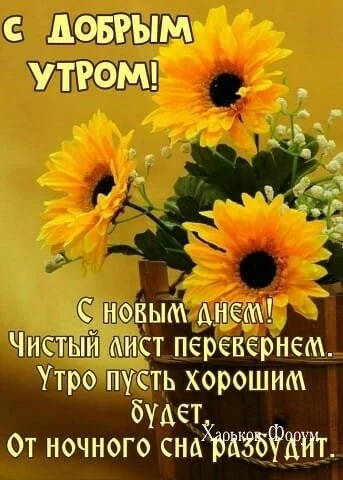 c8345884e2c73a6c18b86.webp
