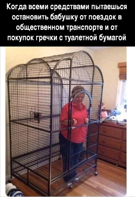 c8385e9d714a50336a65ca785643ed24.webp