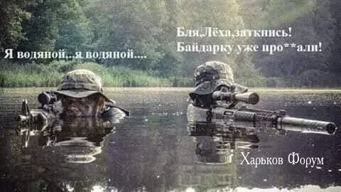 c8395de70a8daf4a5ad4c2c.webp