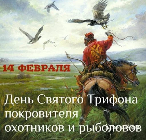 c8486b155987d193a0804.webp