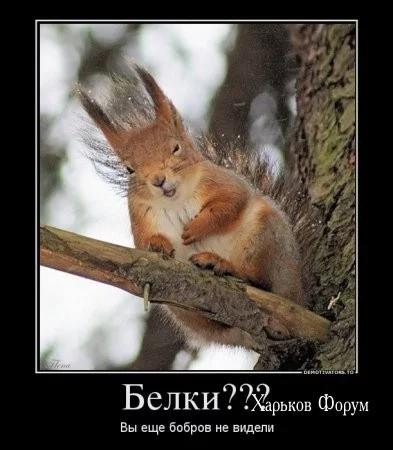 c84bf1895954dc790db2.webp
