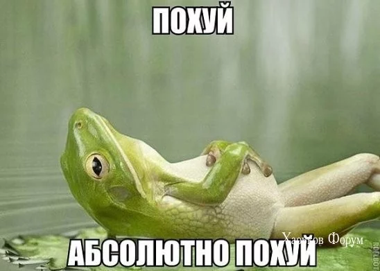 c8585c1bdb857dc793e76c.webp