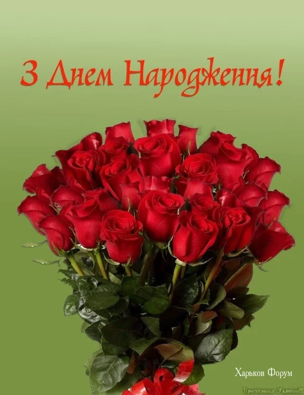 c86ab816b728545ae.webp