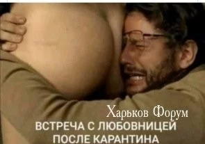 c8998e4263db8f7c958.webp