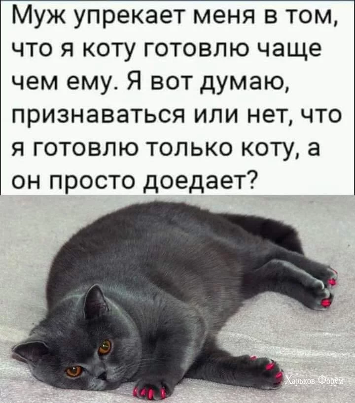 c8c04e453488be0952.webp