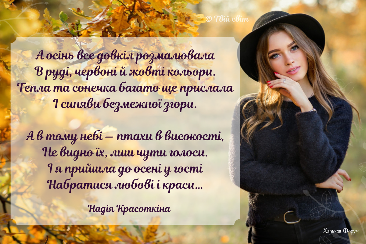 c8cf452f32b9d301e.png