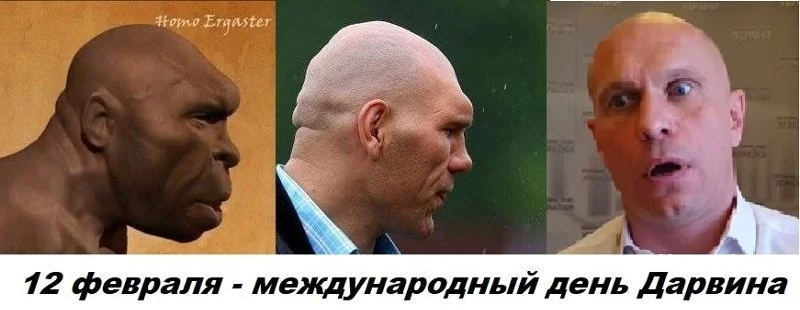 c8d89d5850b6fa2dcd7.webp