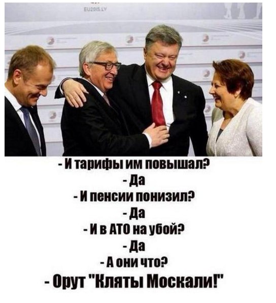 c8dcgd.jpg