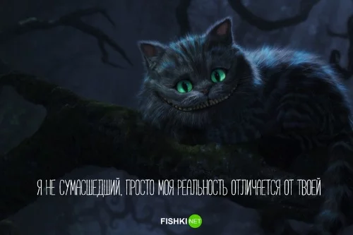 c8dfjc.webp