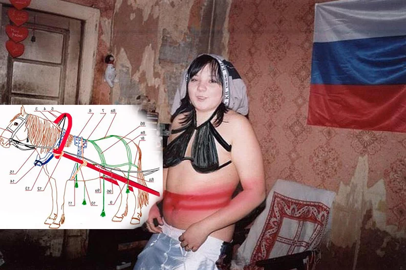 c8ehjd.png