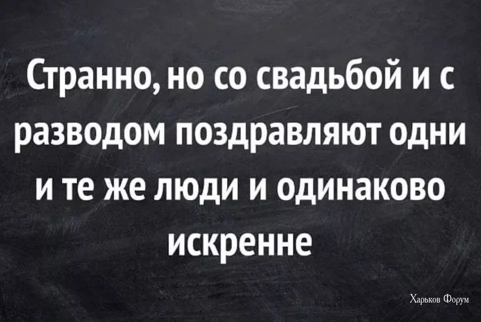 c8f724957286db81bc.webp