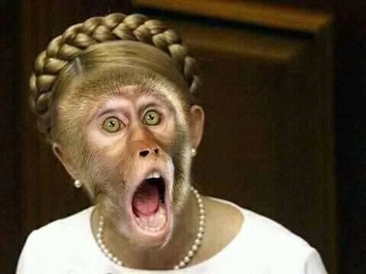 c8gjdj.webp