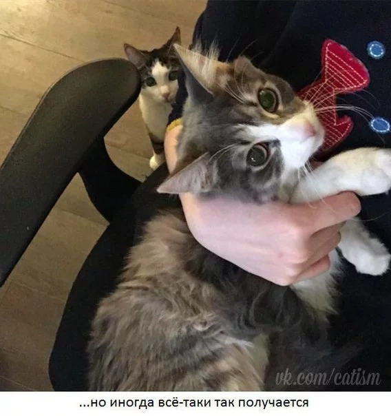 C8vFN3axPYM.webp