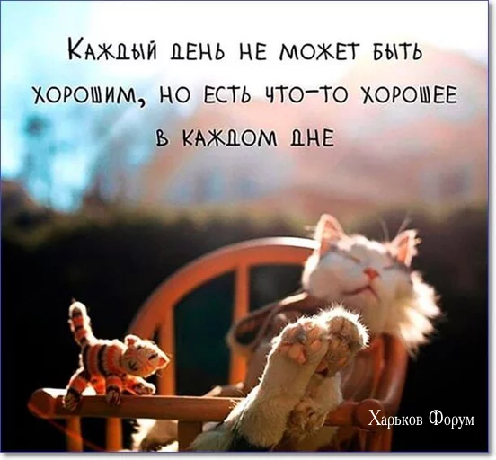 c906dcdef668e0a181.webp