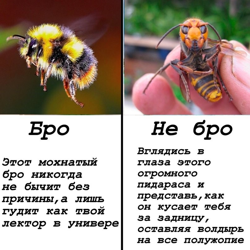 c914557969cc7146b4c.jpg